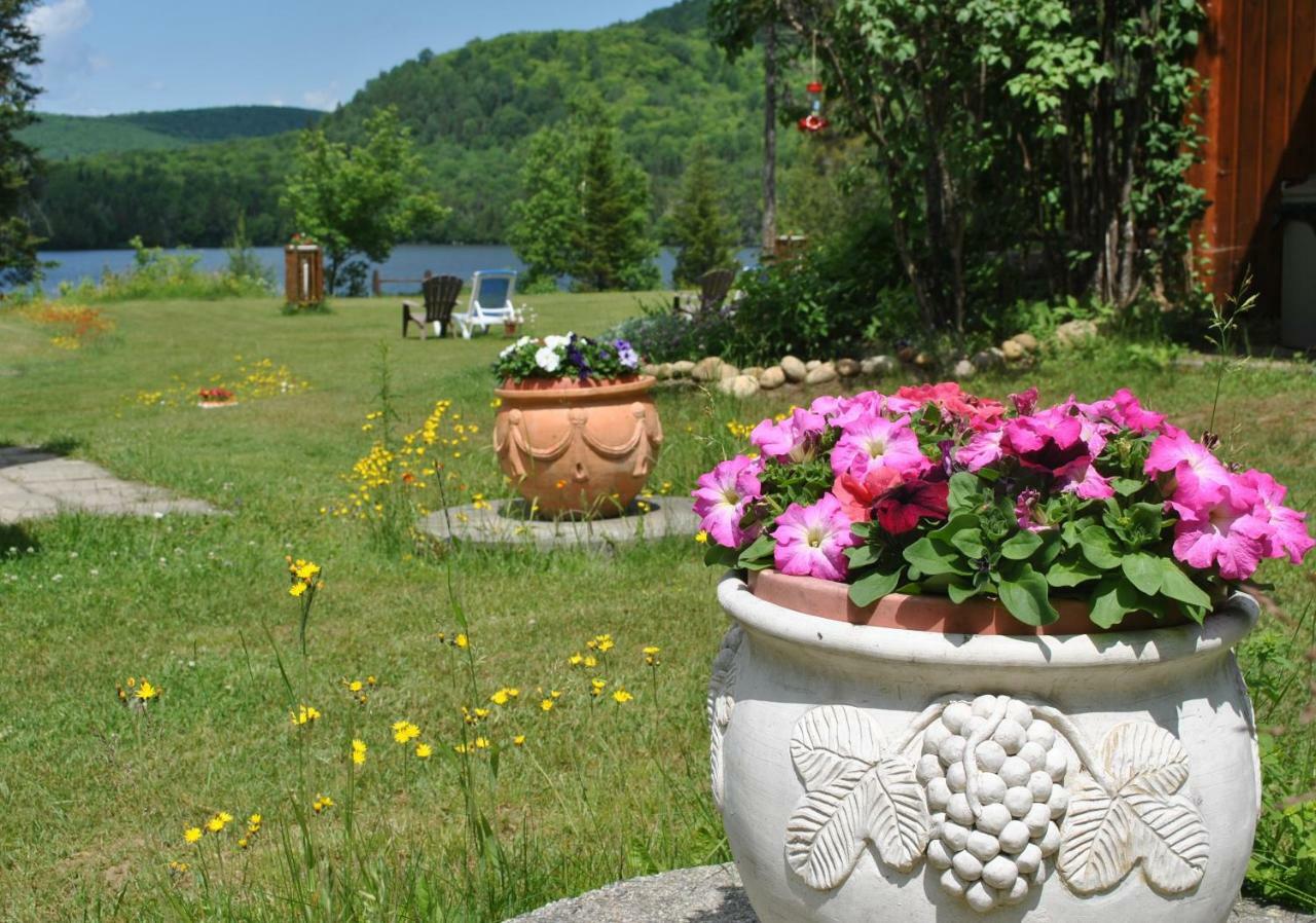 Motel Ours Bleu Lac-Saguay Exterior foto